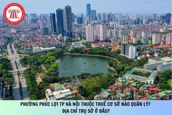 Pháp luật