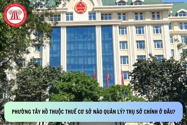 Pháp luật