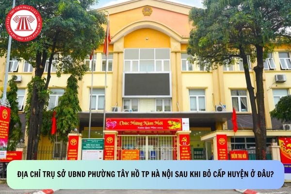 Pháp luật