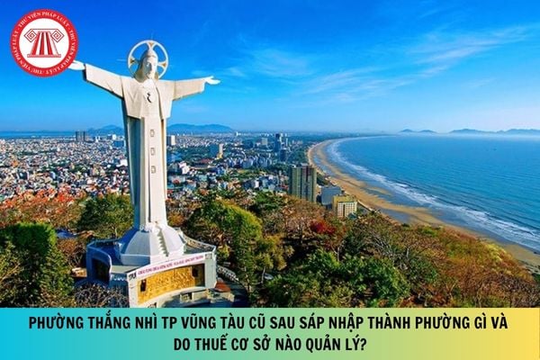 Pháp luật