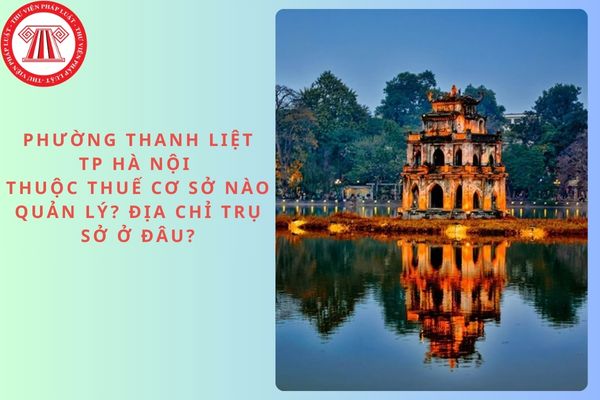Pháp luật