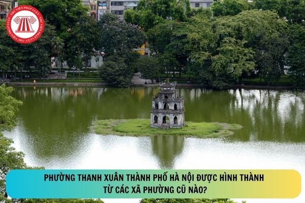 Pháp luật