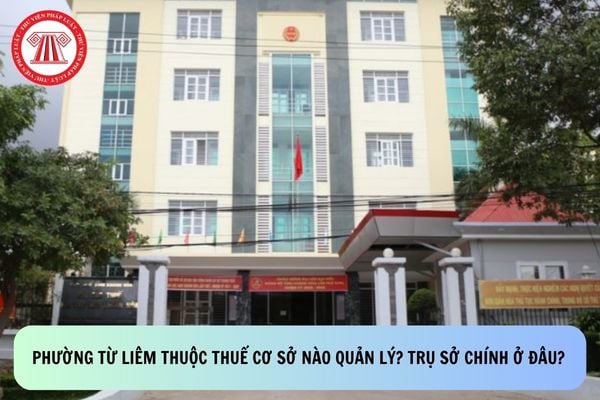 Pháp luật