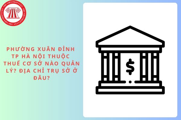 Pháp luật