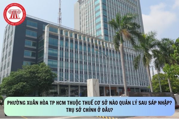 Pháp luật