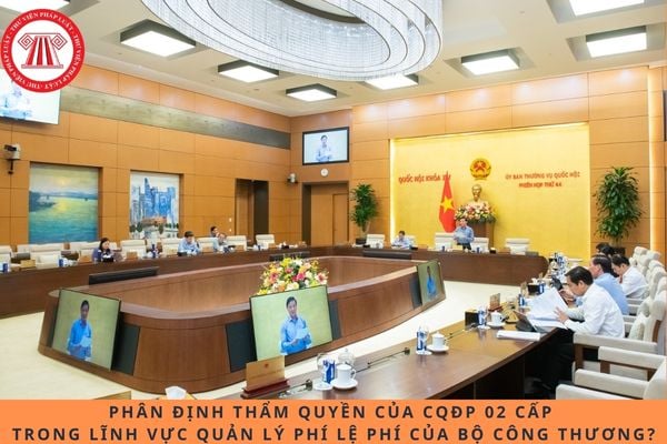 Pháp luật