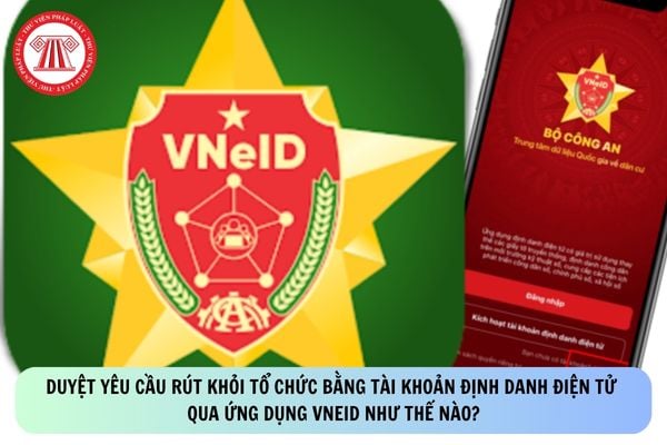 Pháp luật