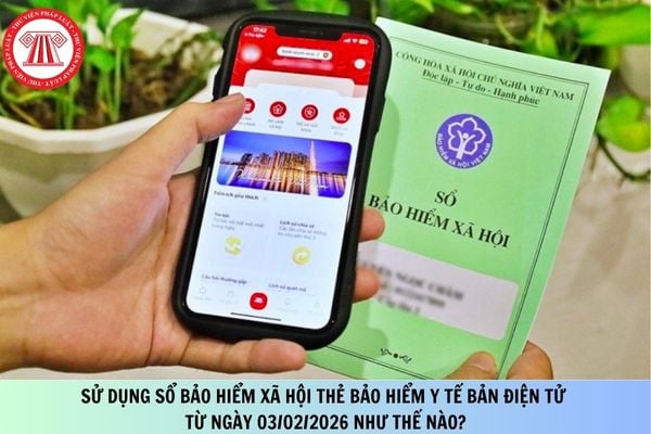 Pháp luật