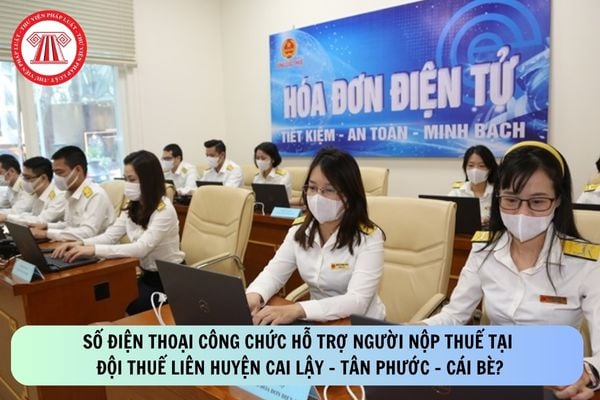 Pháp luật
