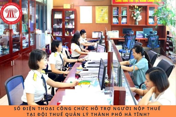 Pháp luật