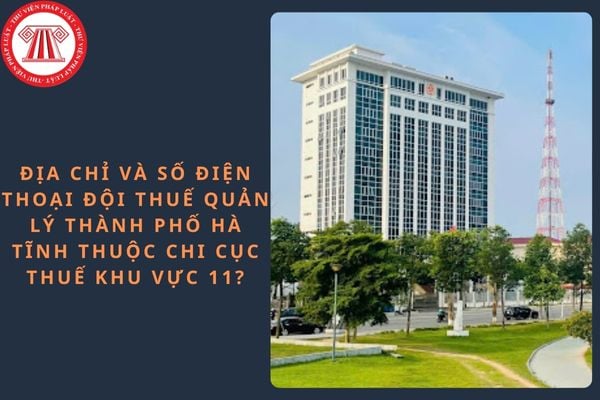 Pháp luật