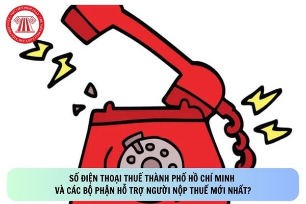Pháp luật