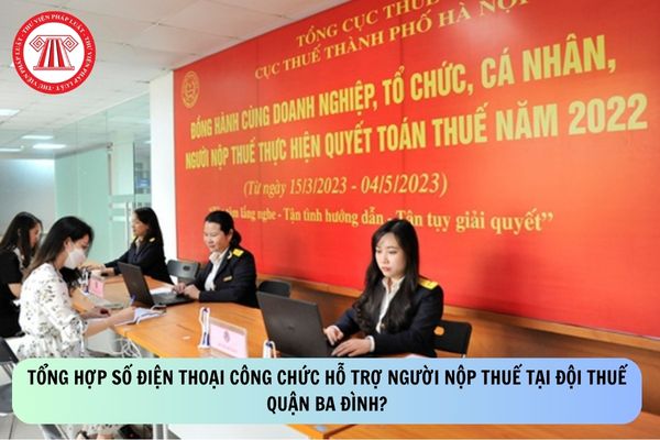 Pháp luật
