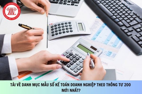 Pháp luật