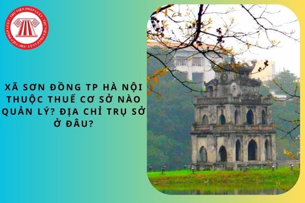 Pháp luật