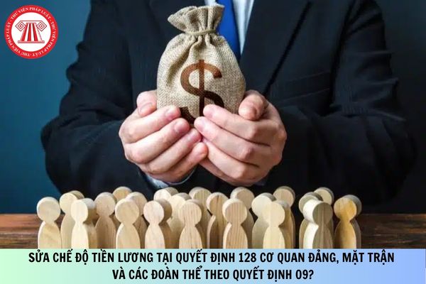 Pháp luật