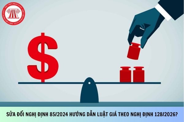 Pháp luật