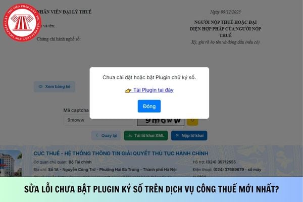 Pháp luật