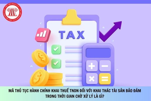 Pháp luật