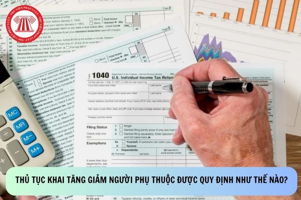 Pháp luật