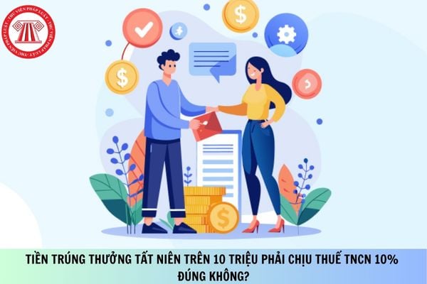 Pháp luật