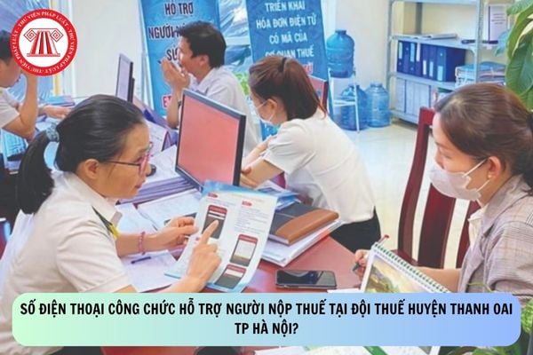 Pháp luật