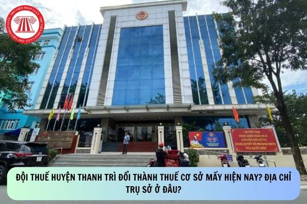 Pháp luật