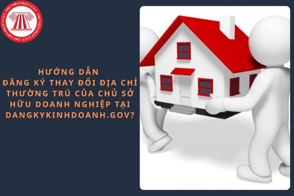 Pháp luật