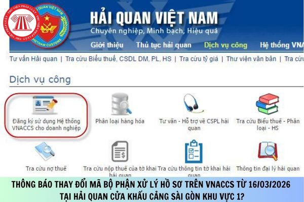 Pháp luật