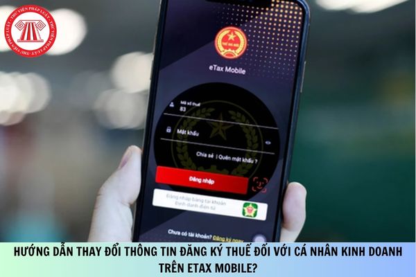 Pháp luật