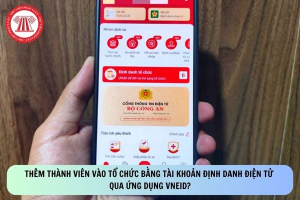 Pháp luật