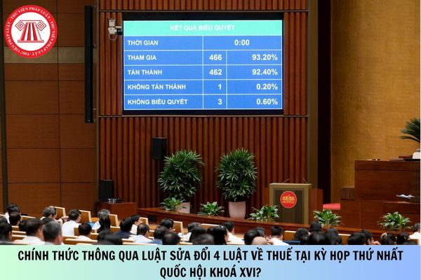 Pháp luật