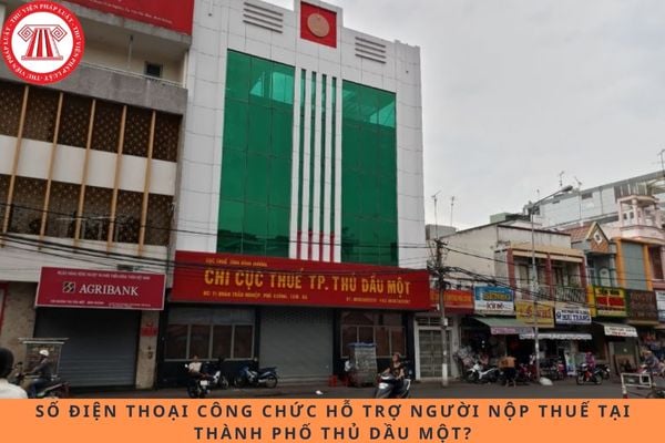 Pháp luật