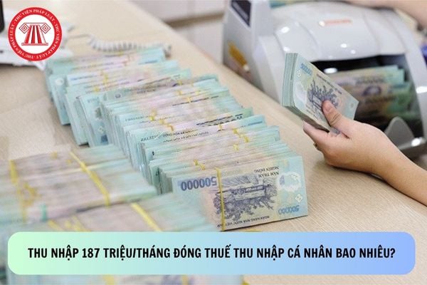 Pháp luật