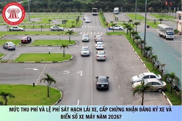 Pháp luật
