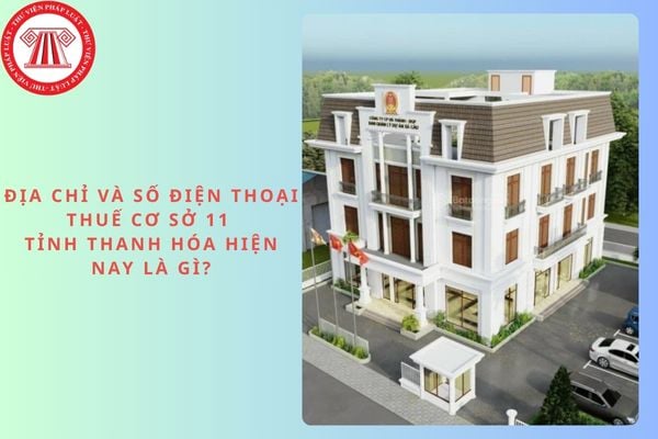 Pháp luật