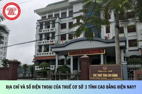 Pháp luật