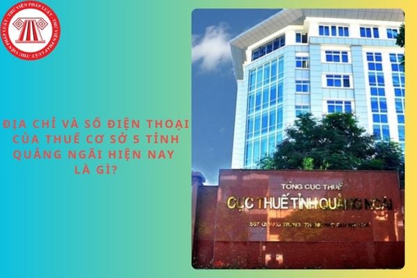 Địa chỉ và số điện thoại của Thuế cơ sở 5 tỉnh Quảng Ngãi hiện nay là gì?