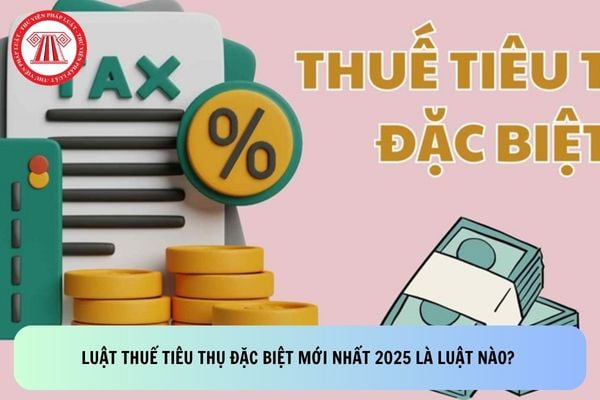 Pháp luật