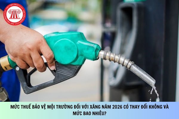 Pháp luật