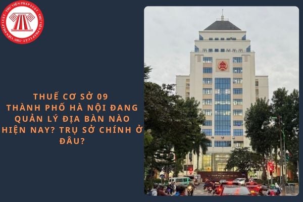 Pháp luật