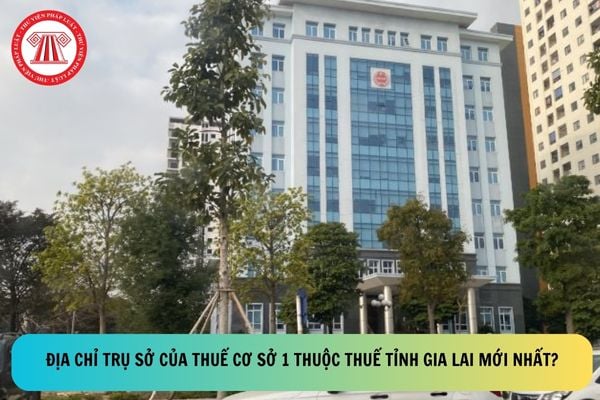 Pháp luật