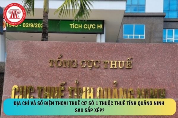 Pháp luật