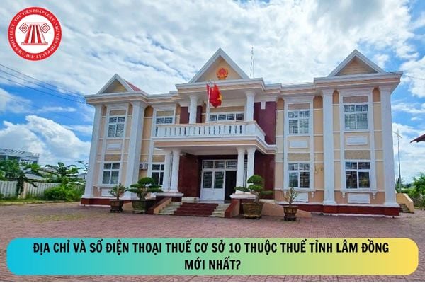Pháp luật