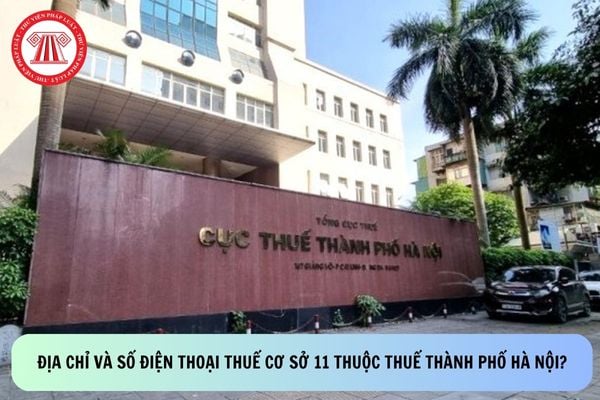 Pháp luật
