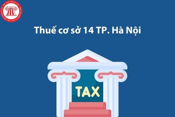 Pháp luật