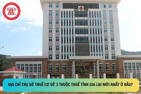 Pháp luật