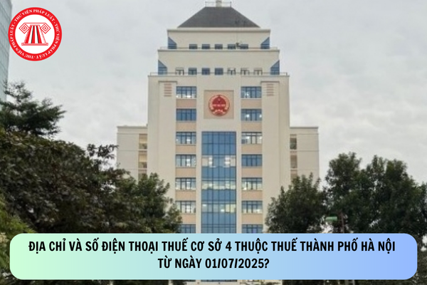 Pháp luật