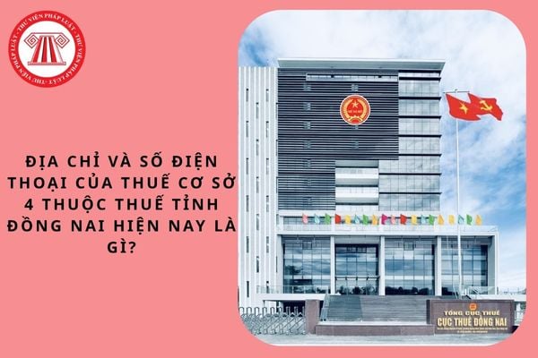 Pháp luật