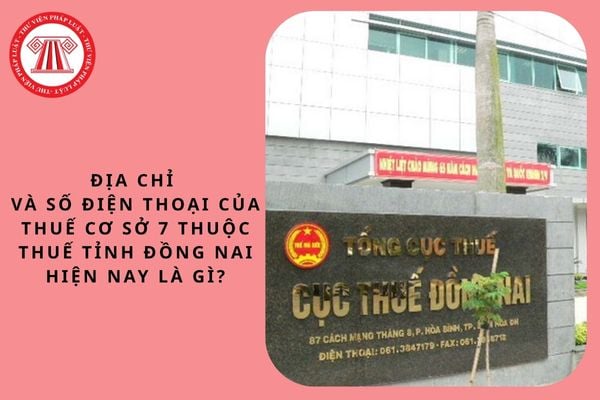 Pháp luật